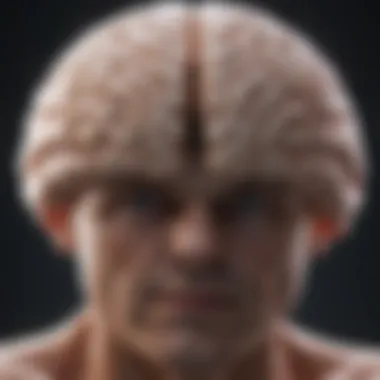 Brain Scan Illustrating NMO Impact Detailed brain scan highlighting areas affected by NMO