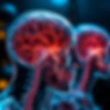 Understanding Neurological Pathways Neurological pathways involved in orofacial dyskinesia