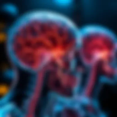 Understanding Neurological Pathways Neurological pathways involved in orofacial dyskinesia