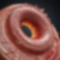 Illustration of arterial narrowing due to atherosclerosis