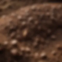 A close-up view of clay soil showcasing its dense texture