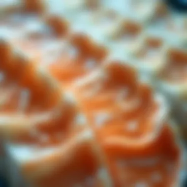 Visual representation of prepared fish tissue sections