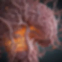 Visual representation of the gut-brain axis