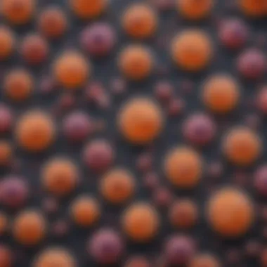 Microscopic Examination of ALL Cells Microscopic view of acute lymphoblastic leukemia cells