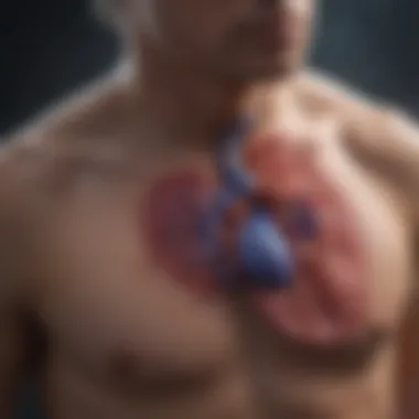Understanding the Mechanisms of Pulmonary Hypertension Mechanisms of pulmonary hypertension