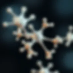 Molecular structure of puromycin highlighting its key components