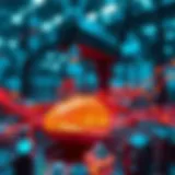 Dynamic representation of machine learning algorithms in action