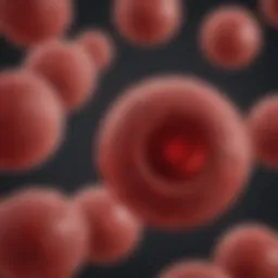 Detailed illustration of red blood cell structure and function