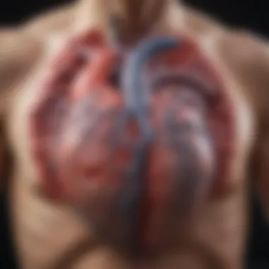 Electrophysiological Mapping of Atrial Fibrillation Electrophysiological mapping of the heart