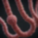 Genetic markers associated with colorectal cancer