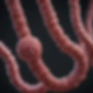 Genetic markers associated with colorectal cancer