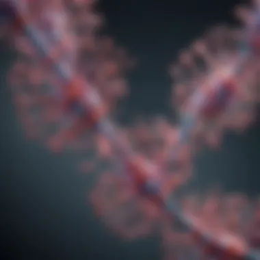 Understanding the Mechanisms of RNA Methylation Diagram illustrating RNA methylation mechanisms