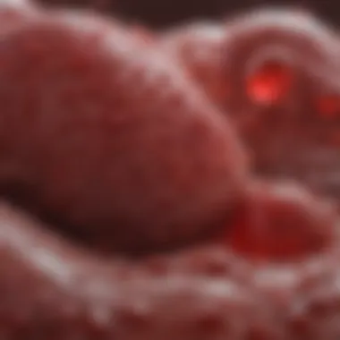 A detailed chart of mean corpuscular volume (MCV) in relation to blood parameters.