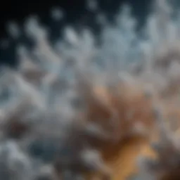 Close-up view of silica particles under a microscope