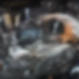 Military personnel sleeping with monitoring equipment