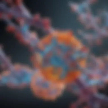 Visual depiction of molecular components involved in mRNA synthesis