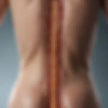 Conditions Addressed by Spinal Plasty Visual representation of spinal conditions treated by plasty