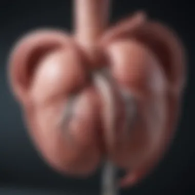 Current management strategies for patients with Type B dissection