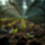 Enhancing Soil Health in Agriculture Sustainable farming practices enhancing soil health