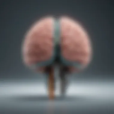 Enhancing Brain Health through Lifestyle Modifications Illustration of brain health with lifestyle modifications