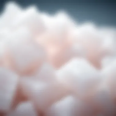 Raw Sugar Crystals Crystals of raw sugar ready for refinement