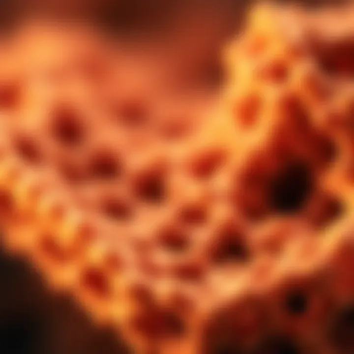 High-resolution images illustrating nanostructures in advanced materials