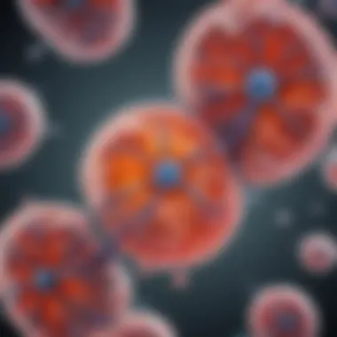 Illustration of metformin's action in renal physiology