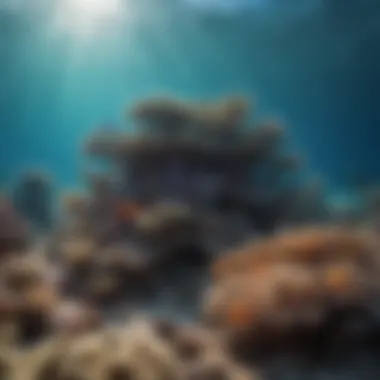 Community Efforts in Reef Conservation A community-led conservation project aimed at restoring reef ecosystems.