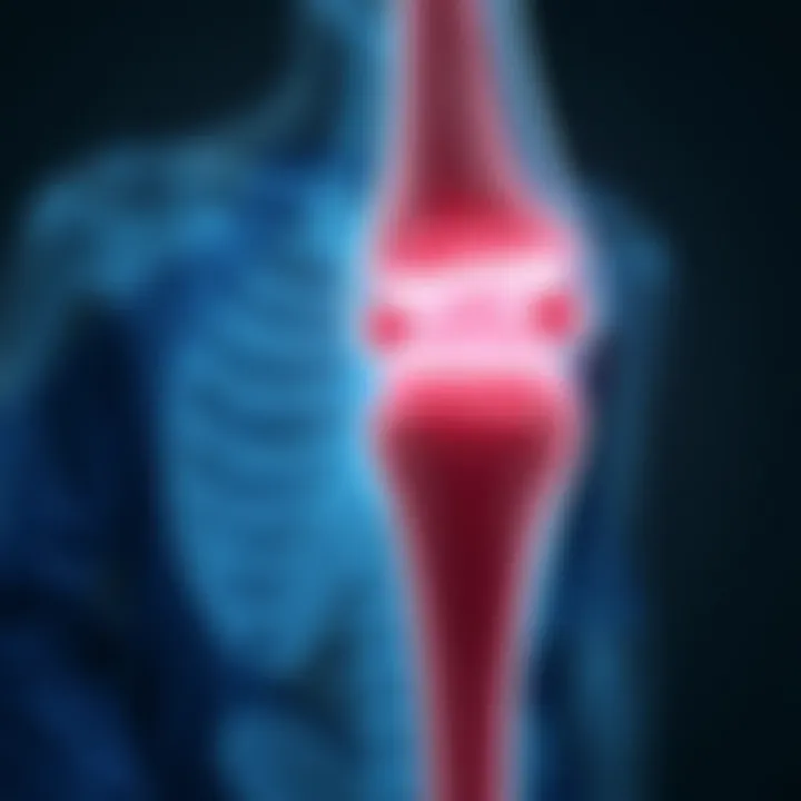 Notable The Healing Process of Fractures: A Detailed Examination