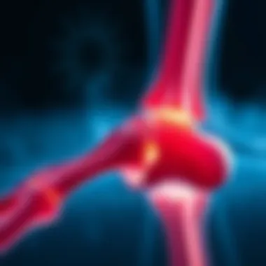 The Healing Process of Fractures: A Detailed Examination Summary