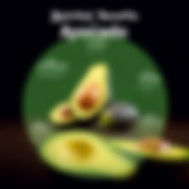 Nutritional Benefits of Avocados An infographic illustrating the nutritional benefits of avocados