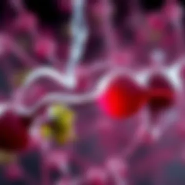 Mechanism of Nitrates in Blood Pressure Regulation Mechanism of nitrates in blood pressure regulation