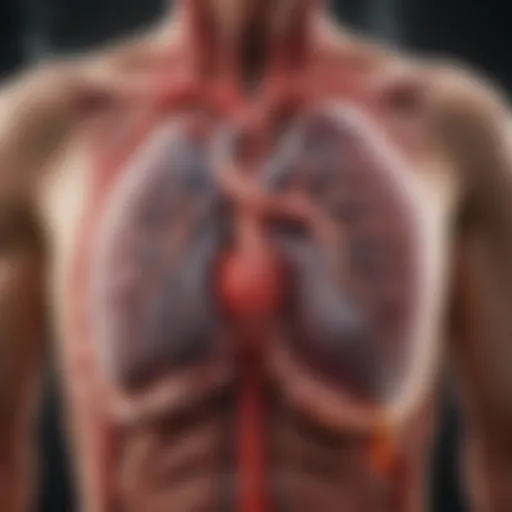 Visual representation of cardiovascular system interaction with smoking.