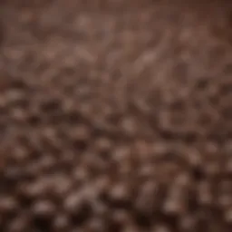 Close-up of coffee beans highlighting their rich texture