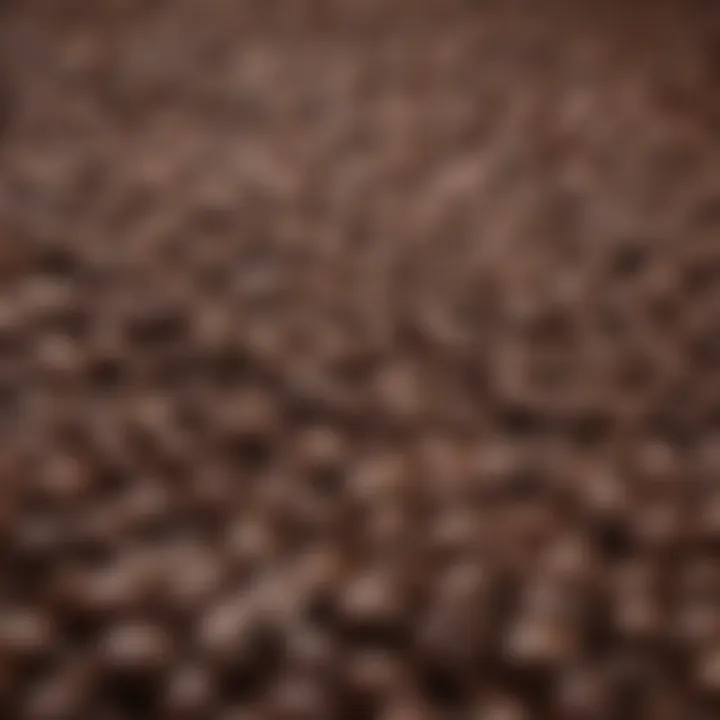 Close-up of coffee beans highlighting their rich texture