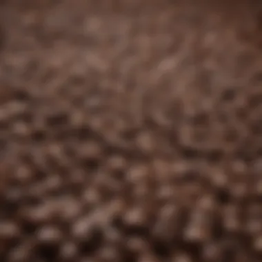 The Rich Texture of Coffee Beans Close-up of coffee beans highlighting their rich texture