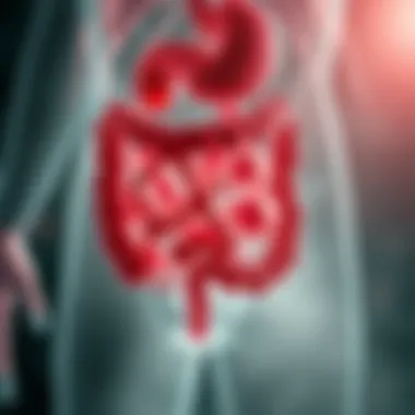 Visual representation of the gut microbiome and its components