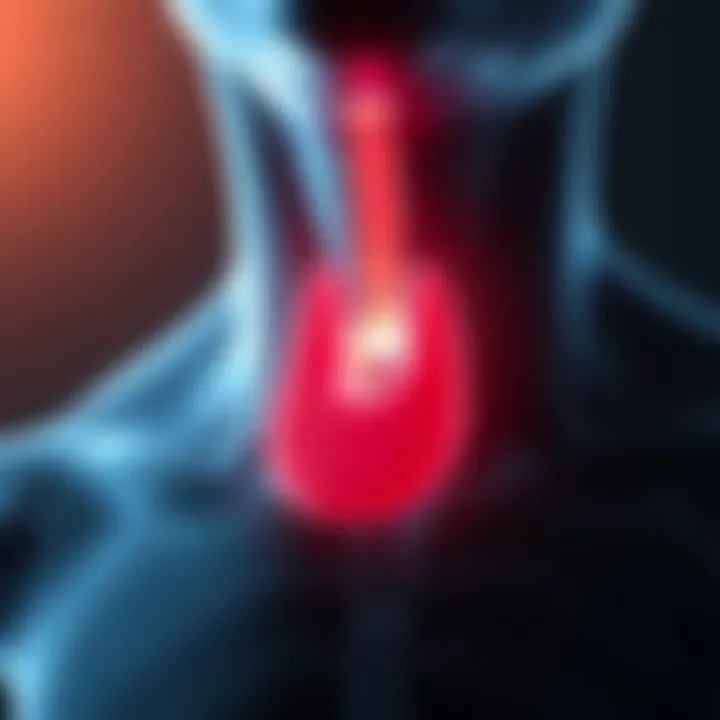 Thyroid gland illustration highlighting hyperactivity