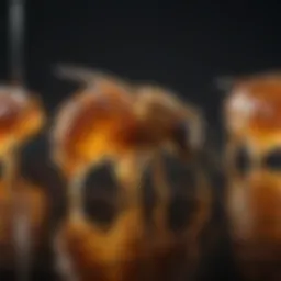 Composition of honey showcasing its unique properties