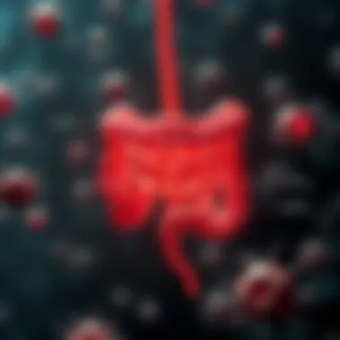 An infographic displaying the relationship between gut biome and immune response.