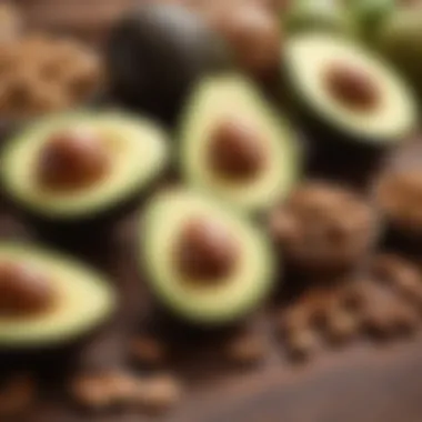 Diverse Foods in the Ketogenic Diet Illustration of ketogenic foods including avocados and nuts