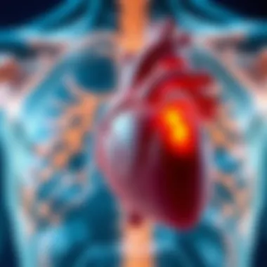 Understanding Cardiac Inflammation Illustration of the heart showing inflammation