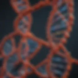 Molecular structure of DNA with annotations