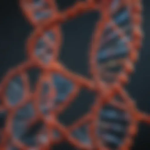 Molecular structure of DNA with annotations