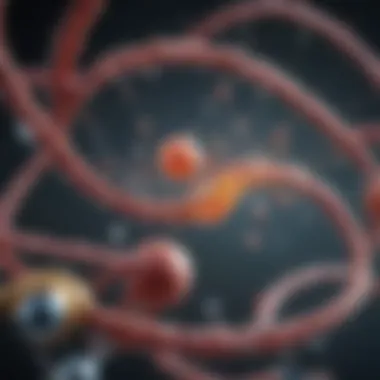 Regulatory Mechanisms in Gene Expression Graphic representation of gene expression regulation