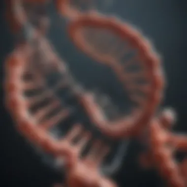 Transcription and Translation: From DNA to Protein Illustration of transcription and translation processes