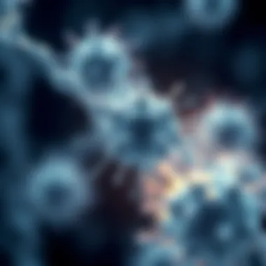 Genetic Blueprint of Cancer Cells