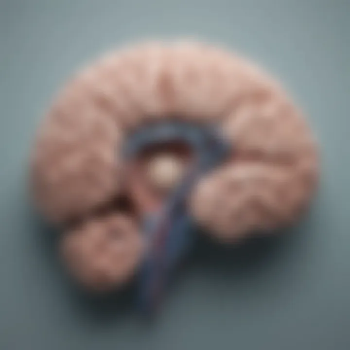 A conceptual illustration of the brain during sleep