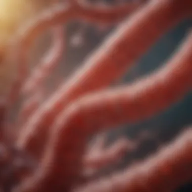 Biological Mechanisms Involved in Colon Cancer Biological mechanisms in colon cancer