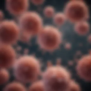Representation of Cancer Cells in Colon Cancer Illustrative representation of cancer cells